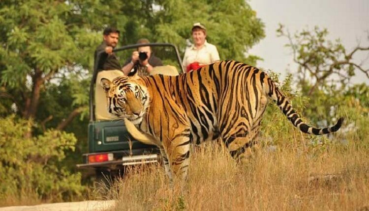 Corbett National Park